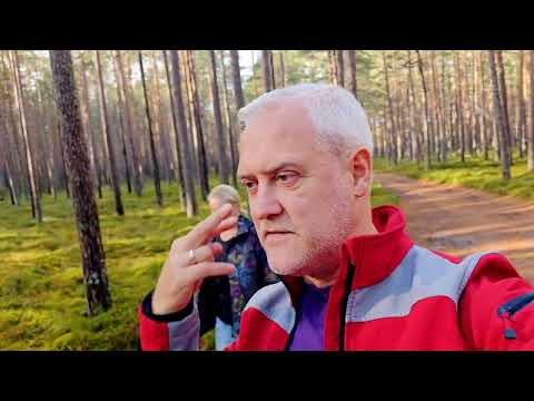 Видео: Полные корзины грибов 1 ноября // Готовим трубчатые Лисички // Латвия