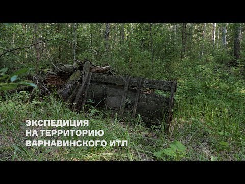 Видео: Унжлаг и Варнавинский ИТЛ. Костромская область. Экспедиция Музея, 2019