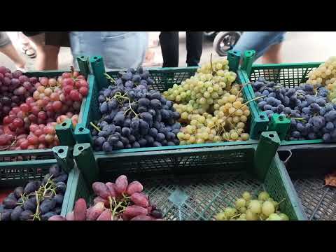 Видео: Базар 30-31.08.2025