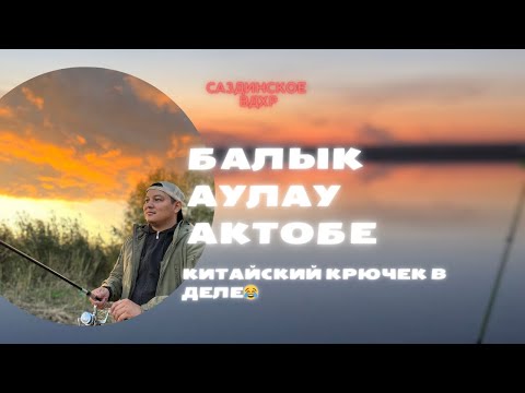 Видео: Қазақстан Ақтөбе қаласы ,Сазды су қоймасы,карась шортан аулау. Рыбалка Актобе