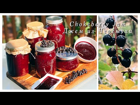 Видео: Chokeberry Jam ДЖЕМ ИЗ ЧЕРЁМУХИ БЕЗ КОСТОЧЕК!