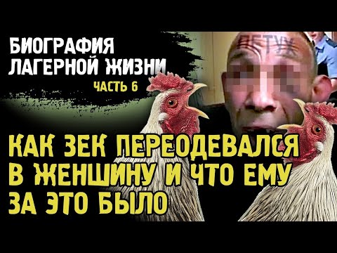 Видео: ПЕЛЬМЕНЬ ПЕРЕОДЕЛСЯ В ЖЕНЩИНУ В КАМЕРЕ / ПЕТУШИНЫЙ ПОСТУПОК