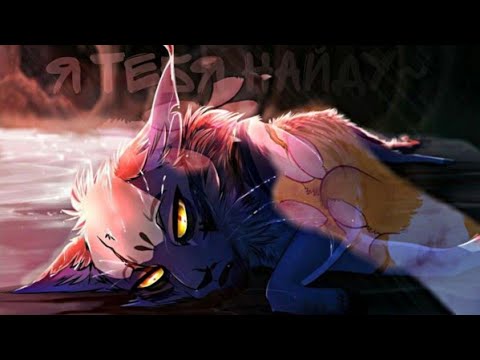 Видео: «Я тебя найду»//Collab with @user29383-k //Cats Warriors