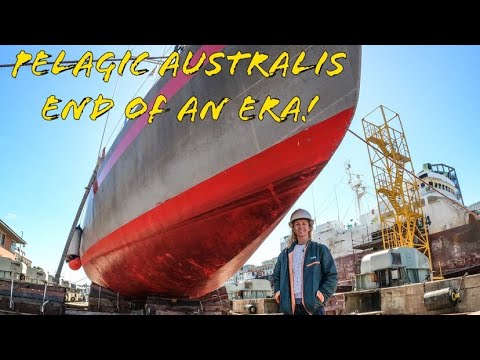 Видео: ⛵ ГРАНДИОЗНОЕ ПЛАВАНИЕ ДЛИНОЙ 7000 МИЛЬ ИЗ КЕЙПТАУНА В АМСТЕРДАМ — ЗАКЛЮЧИТЕЛЬНОЕ ПУТЕШЕСТВИЕ PEL...