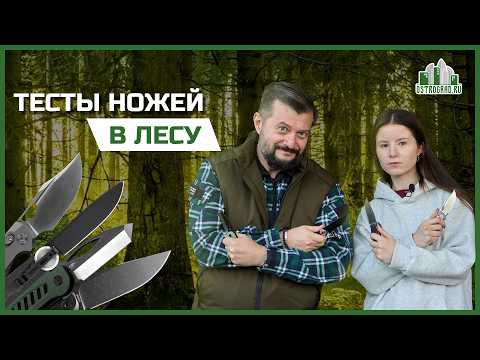 Видео: ТЕСТЫ НОЖЕЙ В ЛЕСУ | Kunwu, Rapax, Bestech, ПЕРЕМЕН