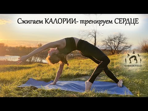 Видео: ВЕСЕЛОЕ и БОДРОЕ с Кардио эффектом / Сжигает калории - тренируем сердце