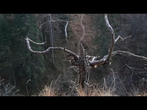 Видео: Айгир, 2025.