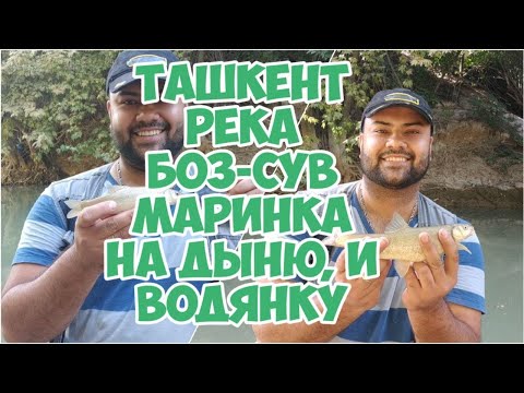 Видео: Ташкент река Боз-сув. Маринка клюёт на Дыню, и на Вонянку!