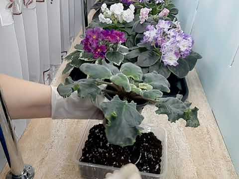 Видео: Не допускайте моих ошибок!