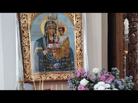 Видео: Золотая осень 2025 в Подниколье #могилёв #жить_по_белорусски 