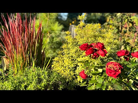 Видео: О СТРУКТУРЕ НАШЕГО  САДА 🌟 Растения и человек