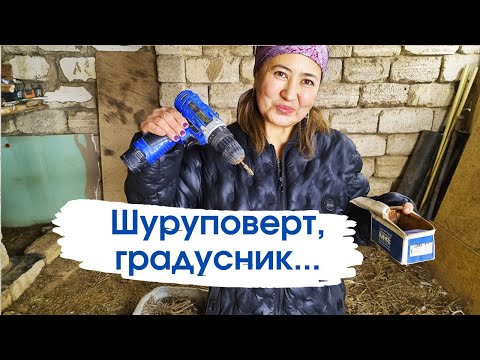 Видео: Vlog. Тауықтардың қамығой,Тауық қораға градусник алып қондырдым