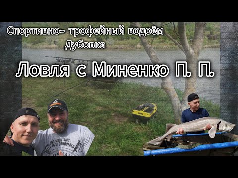 Видео: Рыбалка с @MinenkoTV , трофейная Белуга...