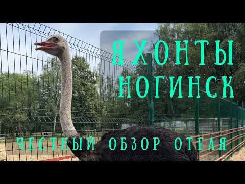 Видео: 🇷🇺 Яхонты Ногинск 4*. Честный обзор загородного отеля в Подмосковье от Александра Теплякова.