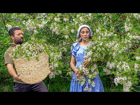 Видео: Сбор цветов акации и приготовление 3 разных вещей, приготовление шашлыка из баранины!