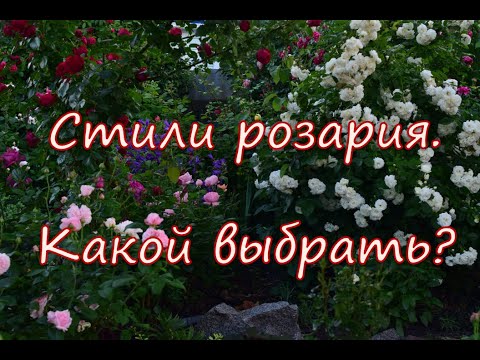 Видео: Стили розария.  Какой выбрать?