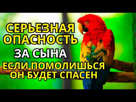 Видео: ‼️ ПОМОЛИСЬ ЗА СЫНА И ОН БУДЕТ СПАСЕН! Защитная молитва за взрослого сына