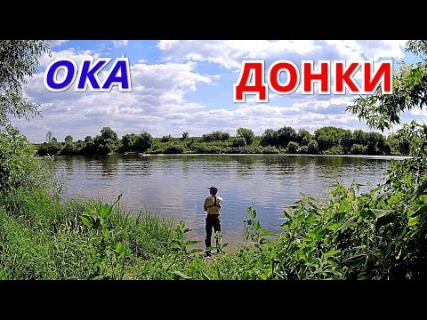 Видео: ДОНКИ  ЛЕЩ и КАРАСЬ. Рыбалка на ОКЕ в начале августа.