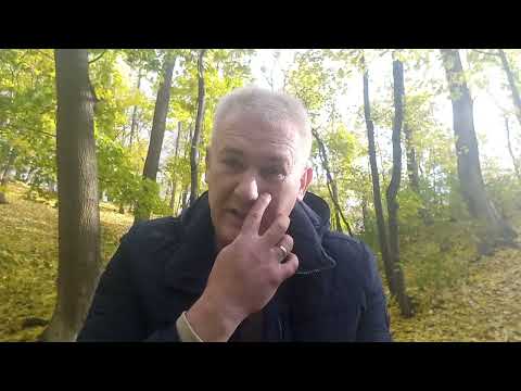 Видео: Більше різних національних радіодиктантів