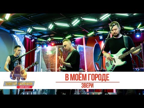 Видео: Звери - В моём городе. «Золотой Микрофон 2019»