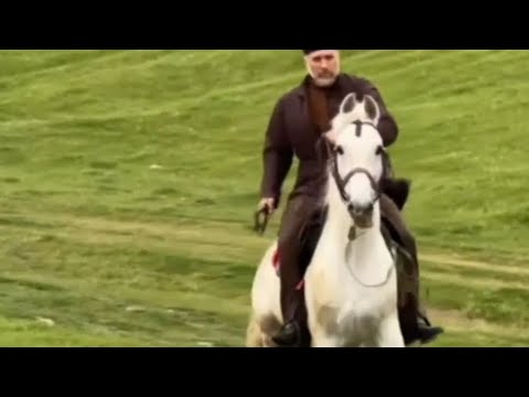 Видео: Пал (Умер) Мой Жеребец 😔. Причина ?