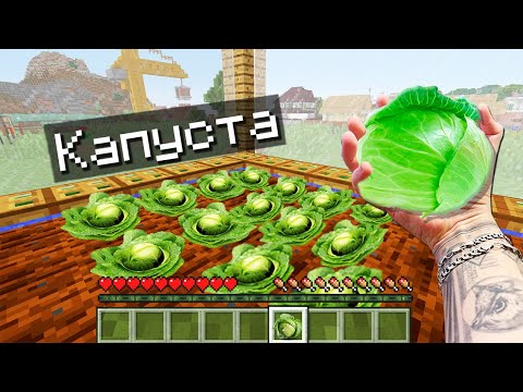 Видео: ВЫРАСТИЛ КАПУСТУ НА ГРЯДКЕ В МАЙНКРАФТ - СИМУЛЯТОР ФЕРМЕРА!
