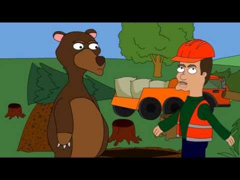 Видео: Медведь после спячки