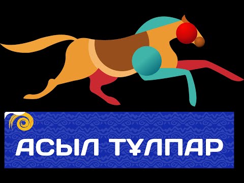 Видео: ASSYL TULPAR бәйгесі