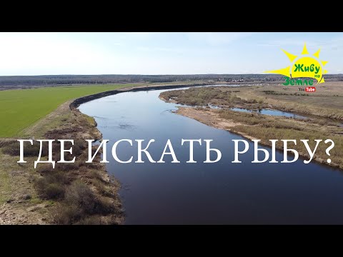 Видео: КАК ЛОВИТЬ НА СПИННИНГ. Раскрываю секреты. Показываю ПРАВИЛЬНЫЕ МЕСТА НА РЕКЕ.