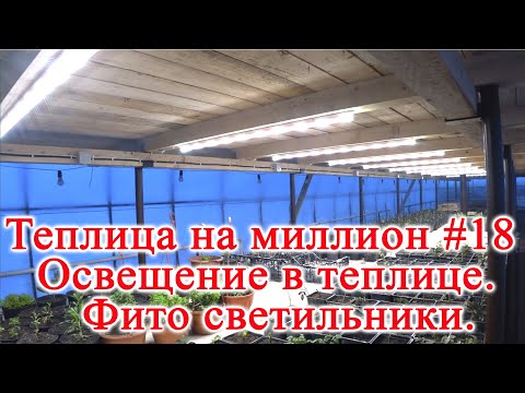 Видео: Теплица на миллион #18 Освещение в теплице.  Фито светильники.