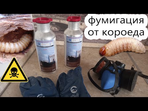 Видео: Фумигация от короеда и всех остальных вредителей / чем уничтожить короеда