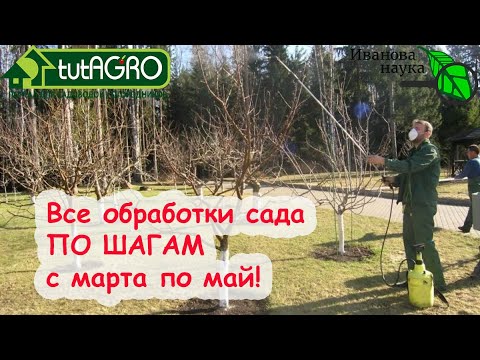 Видео: Обработки сада по порядку! СДЕЛАЙТЕ ЭТО В САДУ И НАСЛАЖДАЙТЕСЬ УРОЖАЕМ без ПРОБЛЕМ!