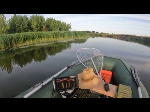 Видео: Ловля щуки в літню спеку! Клює лиша на одну приманку! Рибалка на р. Горинь 2023.