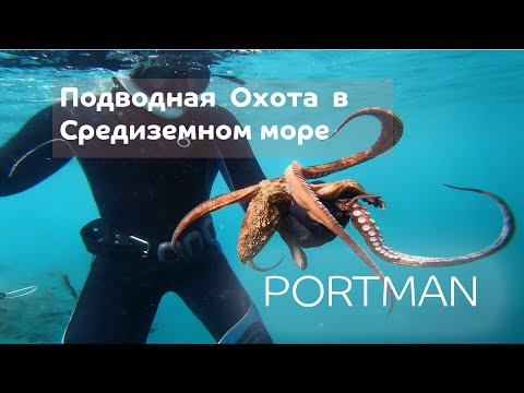 Видео: Подводная охота в Средиземном море ! Осьминоги , Дорадо , Угри !