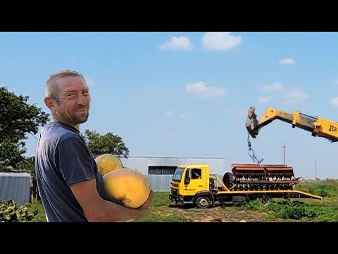 Видео: В гостях у Деда Бабая. Купили Сеялку СЗ 3.6!