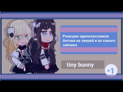 Видео: Реакцию одноклассников Антона на зверей и на зайчика|без наличия Антона|@ReD.|1/1||tiny bunny|Ориг|