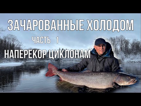 Видео: Зачарованные холодом Часть 1 Наперекор циклонам (таймень, рыбалка)