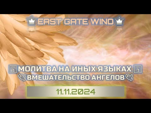 Видео: ☘️🛐🌿 МОЛИТВА НА ИНЫХ ЯЗЫКАХ 🌟🙏🏼🕊 ВМЕШАТЕЛЬСТВО АНГЕЛОВ ☘️🛐🌿