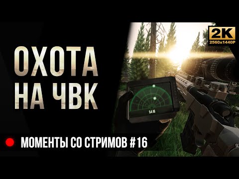 Видео: Охота на ЧВК в лесу • Escape from Tarkov №16