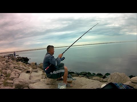 Видео: #Рыбалка  на #Каспийском море ловим Воблу #fishing