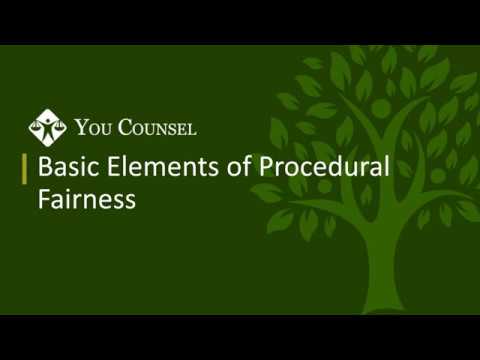Видео: Основные элементы процессуальной справедливости