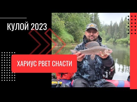 Видео: Кулой 2023. Ловля хариуса в Архангельской тайге.