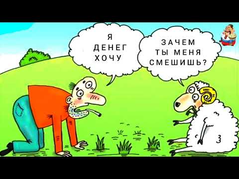 Видео: МОШЕННИК РАССМЕШИЛ ДАЖЕ БАРАНА.