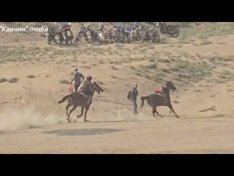 Видео: бузкаши🐎 дехайи ГУЛИСТОН. 18.10.2025
