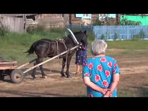 Видео: Нижний пруд 2