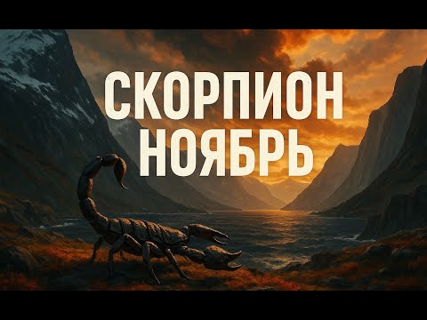 Видео: Скорпион, ноябрь — твой месяц силы! Узнай, что приготовили звёзды 🔥