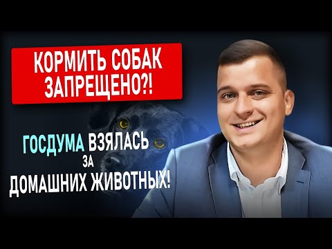 Видео: Новые законы о домашних животных: штрафы до 500 000 рублей и запрет кормить собак