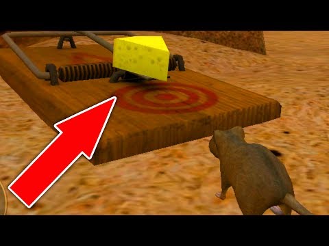 Видео: СИМУЛЯТОР Маленькой МЫШИ #18 ОХОТИТСЯ КОШКА построили МЫШЕЛОВКУ в Mouse Simulator