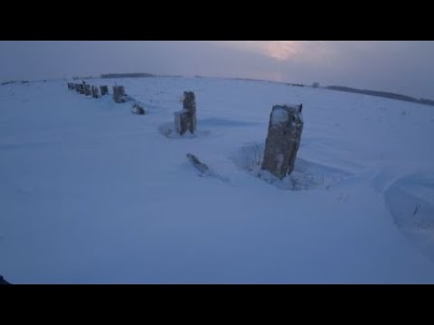 Видео: красивый подъём зайца из под ног 27.01 24