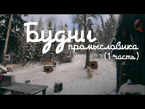 Видео: Будни промысловика (часть 1)